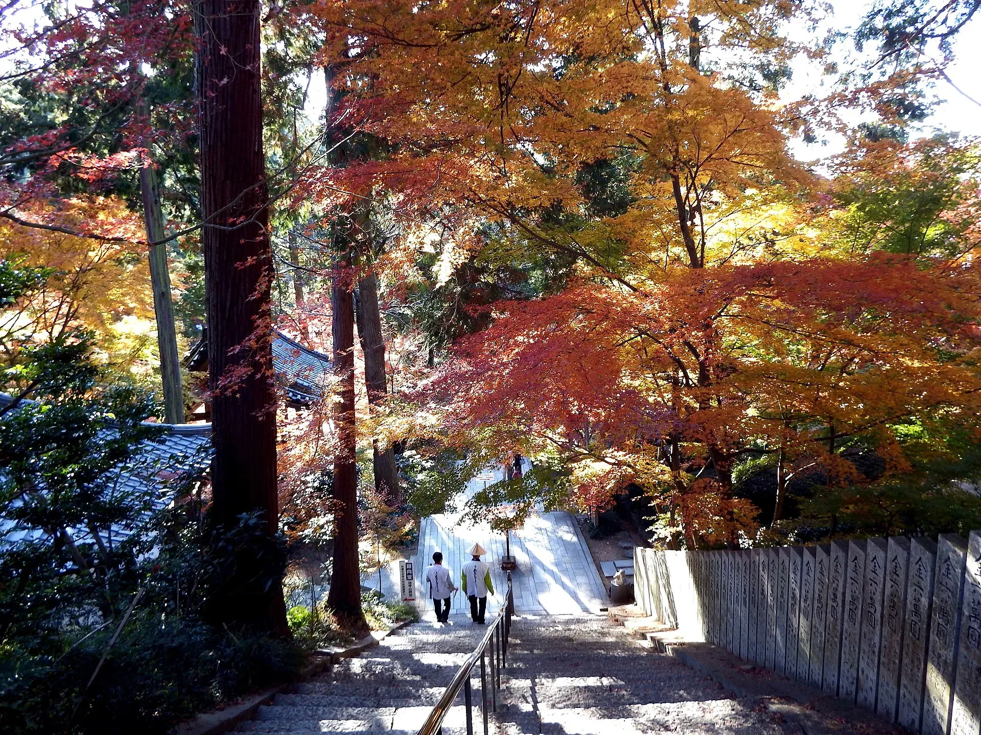 第81番 綾松山 洞林院 白峯寺 境内