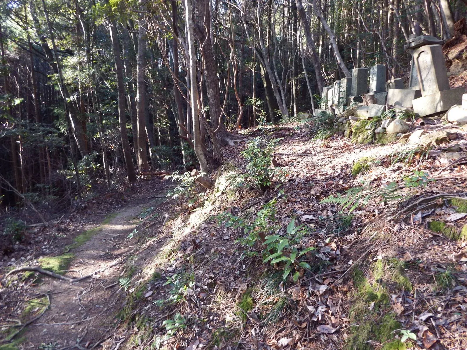 第41番 稲荷山 護国院 龍光寺 境内