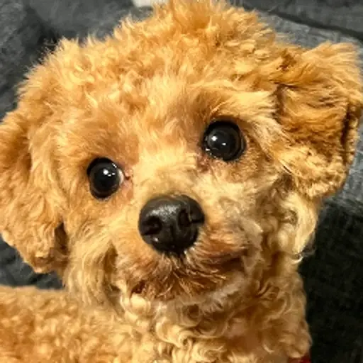 プロフィール写真