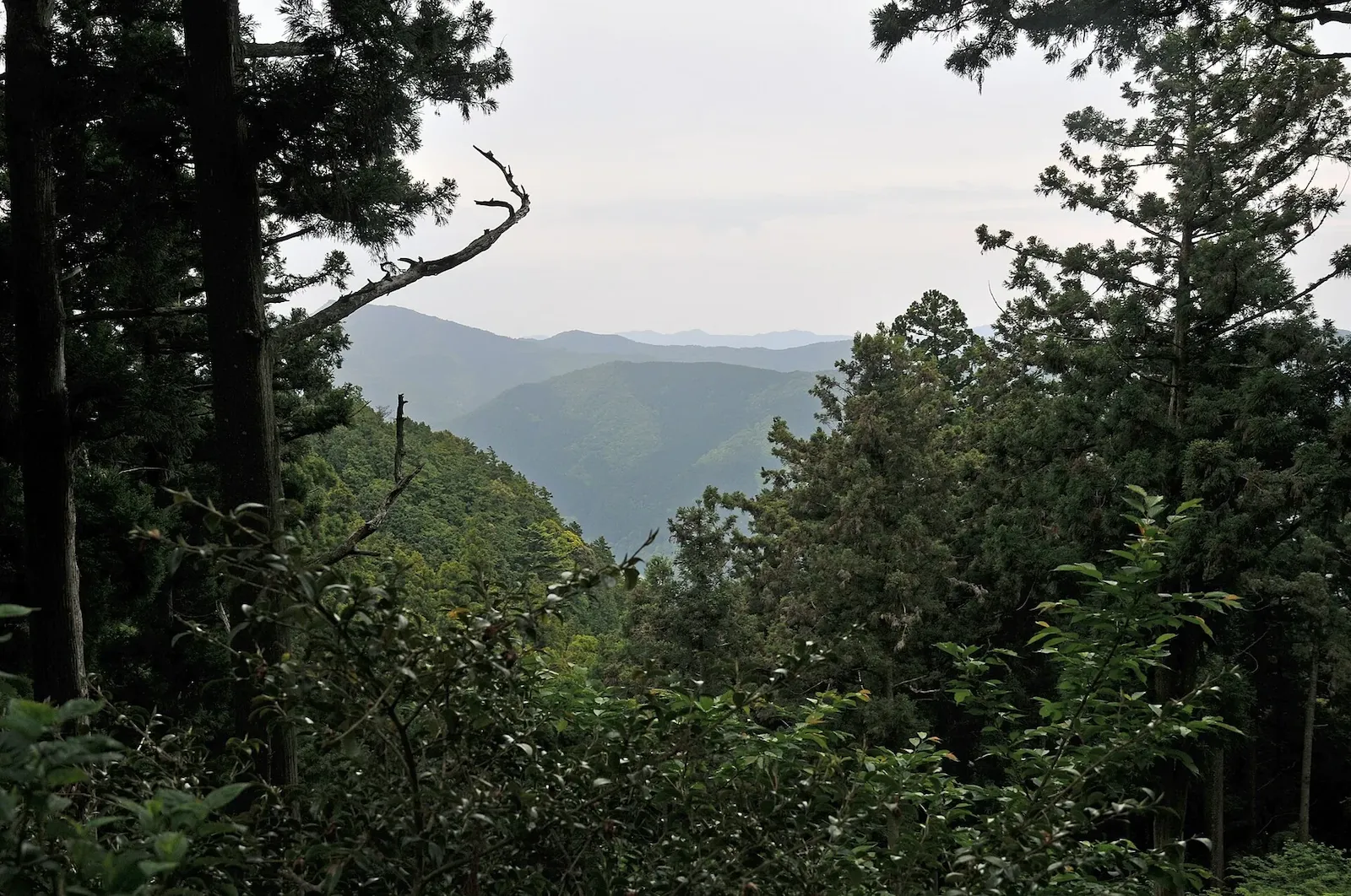 第20番 霊鷲山 宝珠院 鶴林寺 眺望