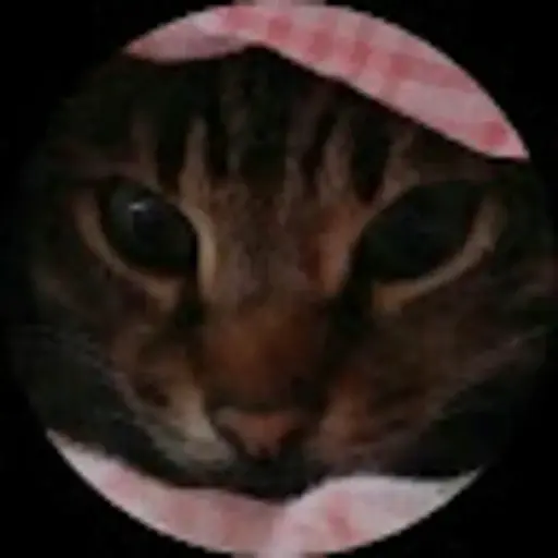 プロフィール写真