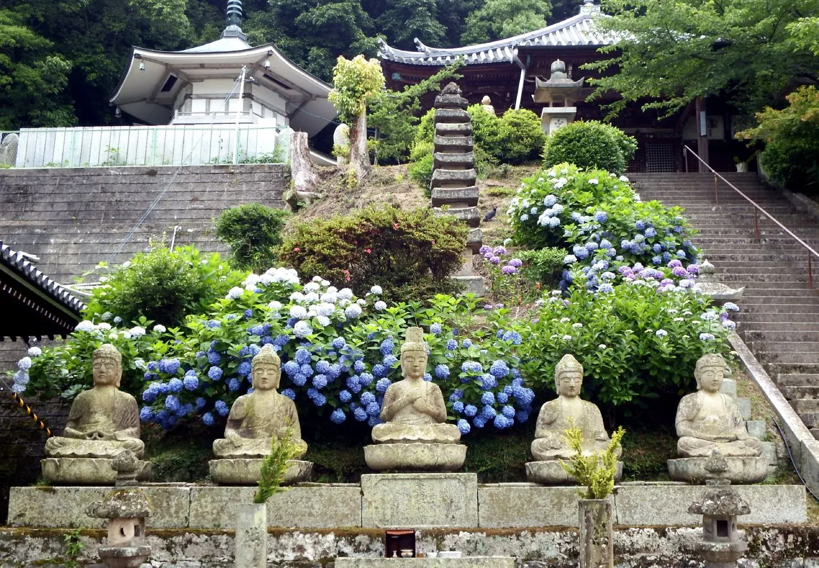 第69番 七宝山 観音寺 観音寺 境内