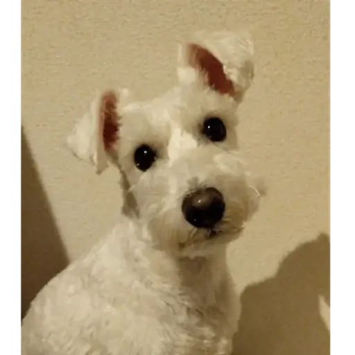 プロフィール写真