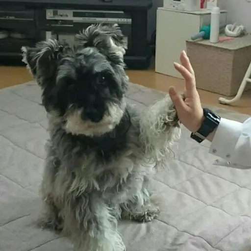 プロフィール写真