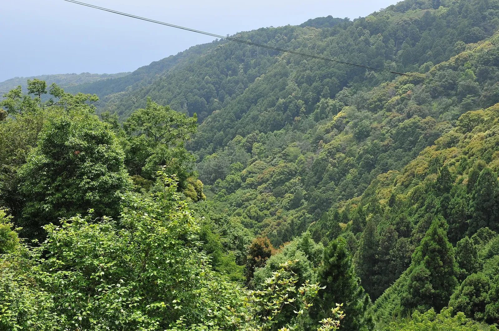 第27番 竹林山 地蔵院 神峯寺 眺望