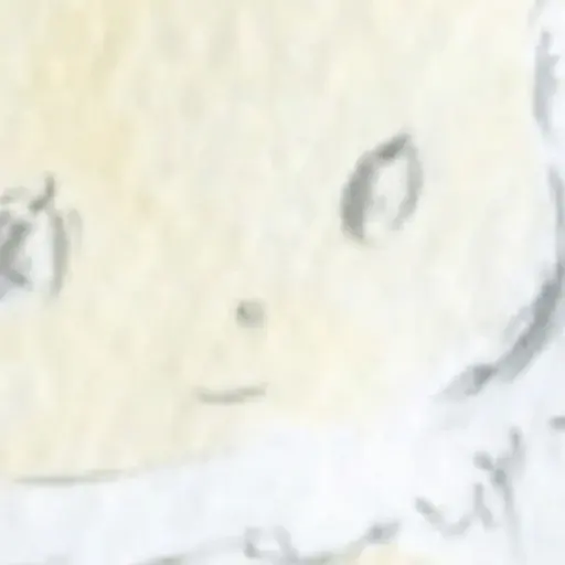 プロフィール写真