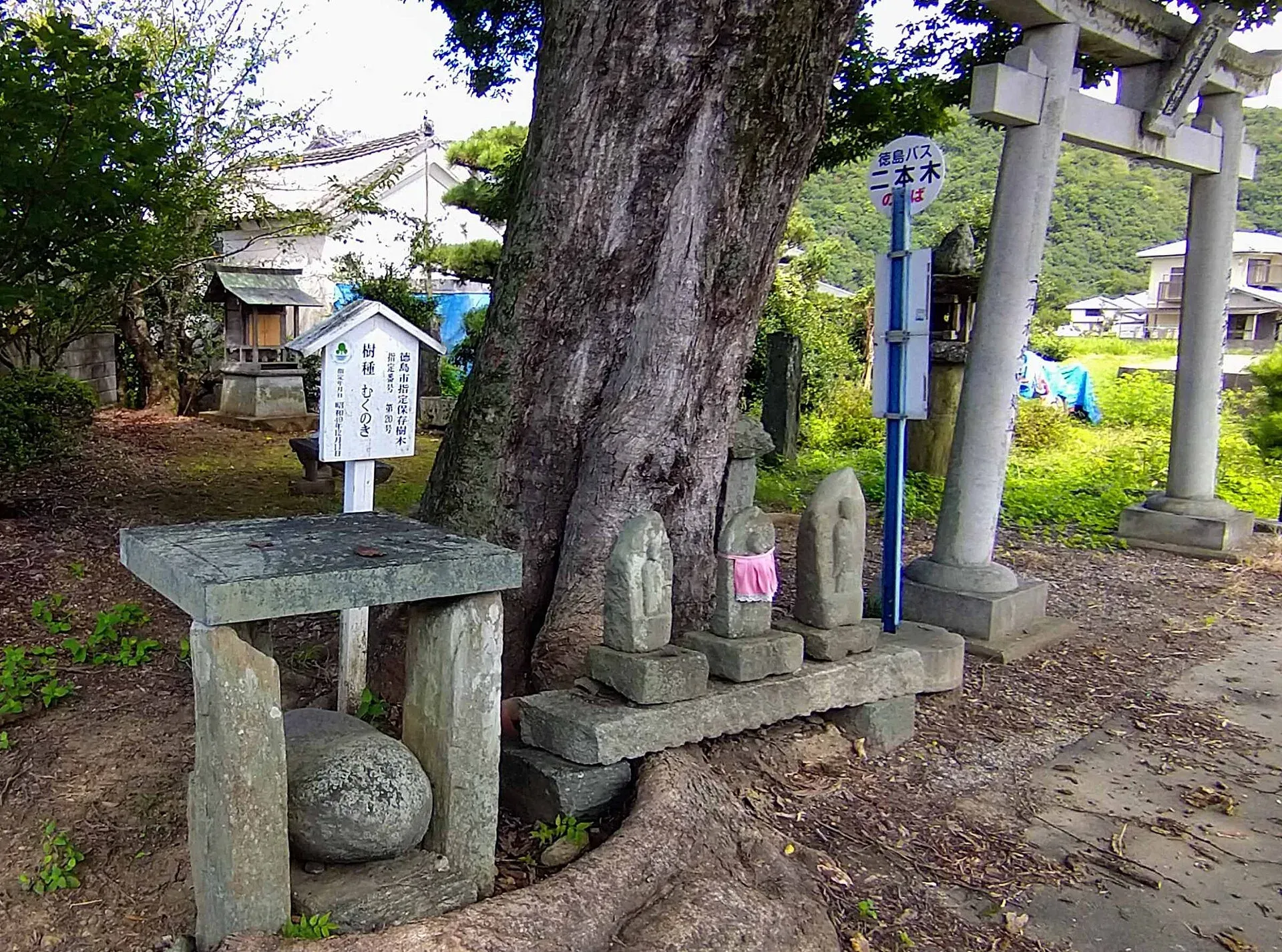 第13番 大栗山 花蔵院 大日寺 境内
