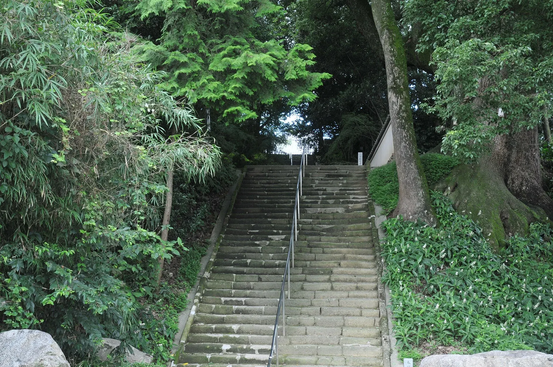 第67番 小松尾山 不動光院 大興寺 境内
