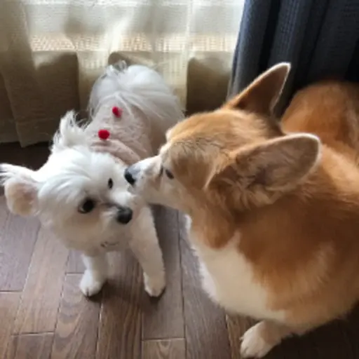 プロフィール写真