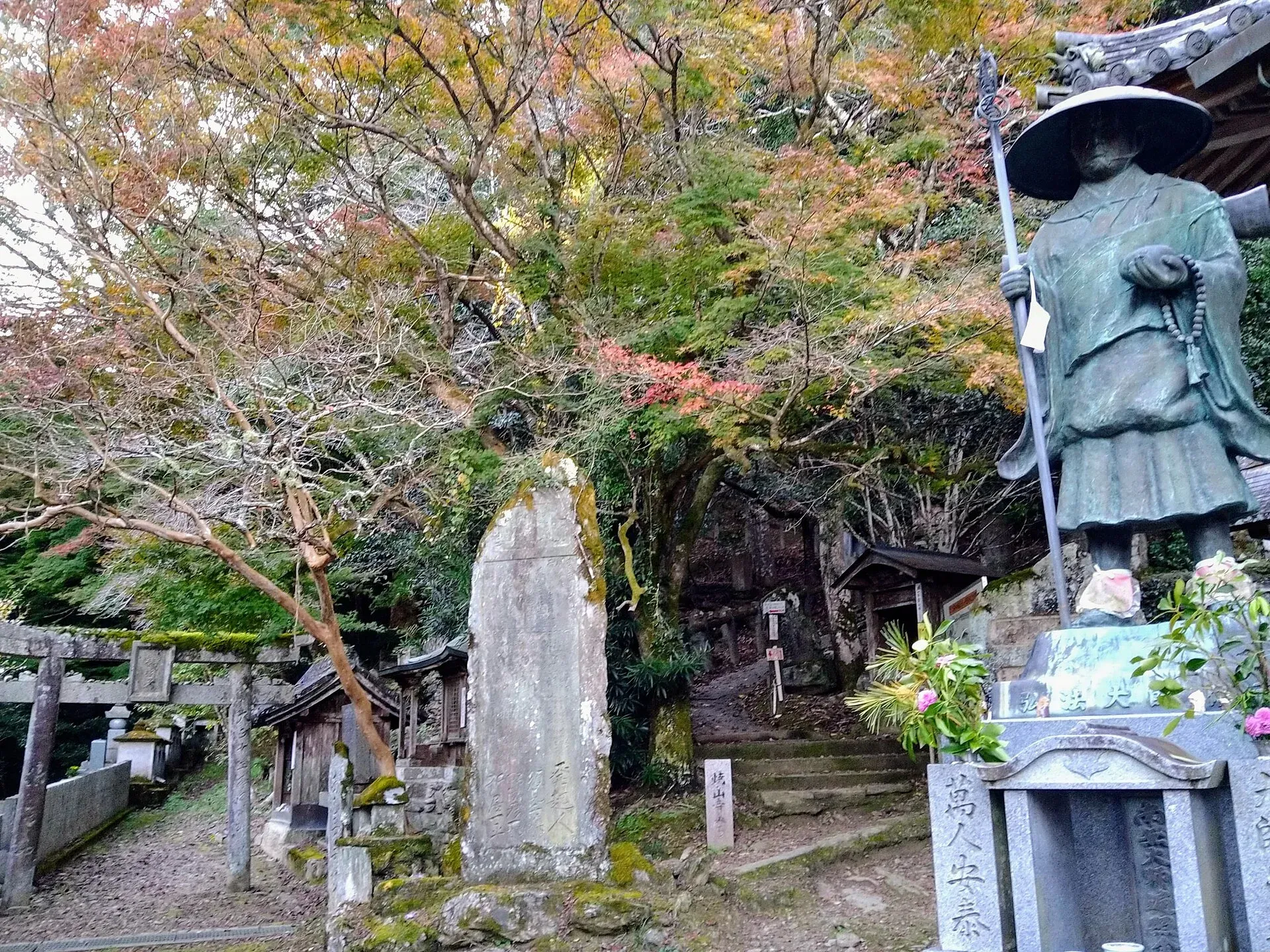第11番 金剛山 一乗院 藤井寺 境内