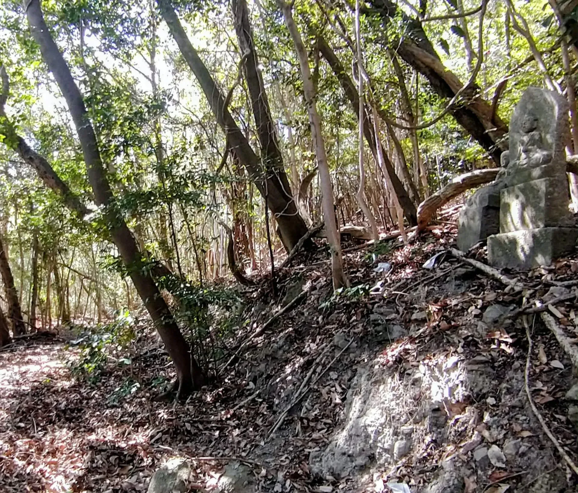 第71番 剣五山 千手院 弥谷寺 境内