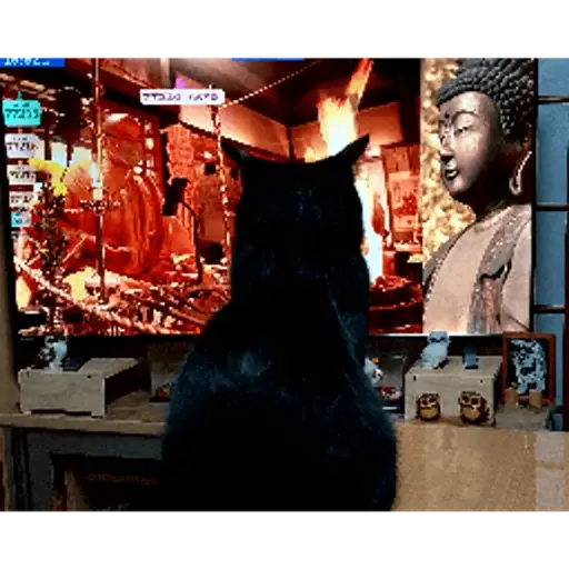 プロフィール写真