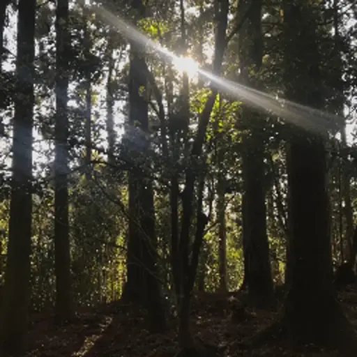 プロフィール写真