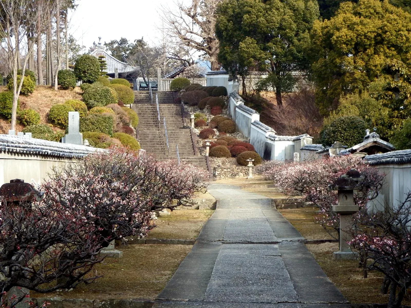 第5番 無尽山 荘厳院 地蔵寺 境内