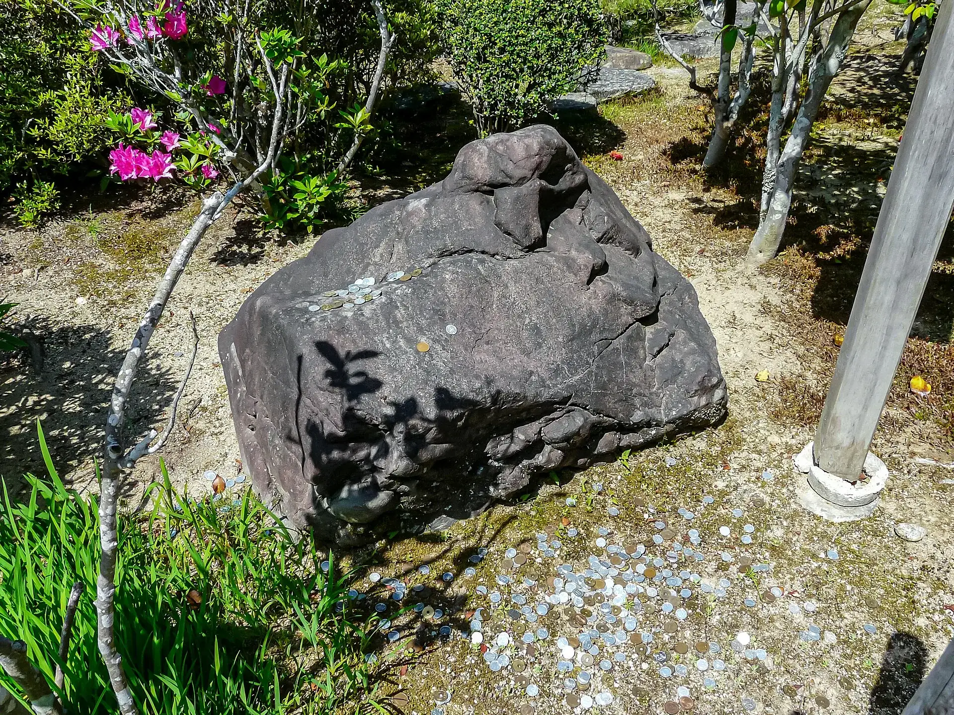 第3番 亀光山 釈迦院 金泉寺 境内