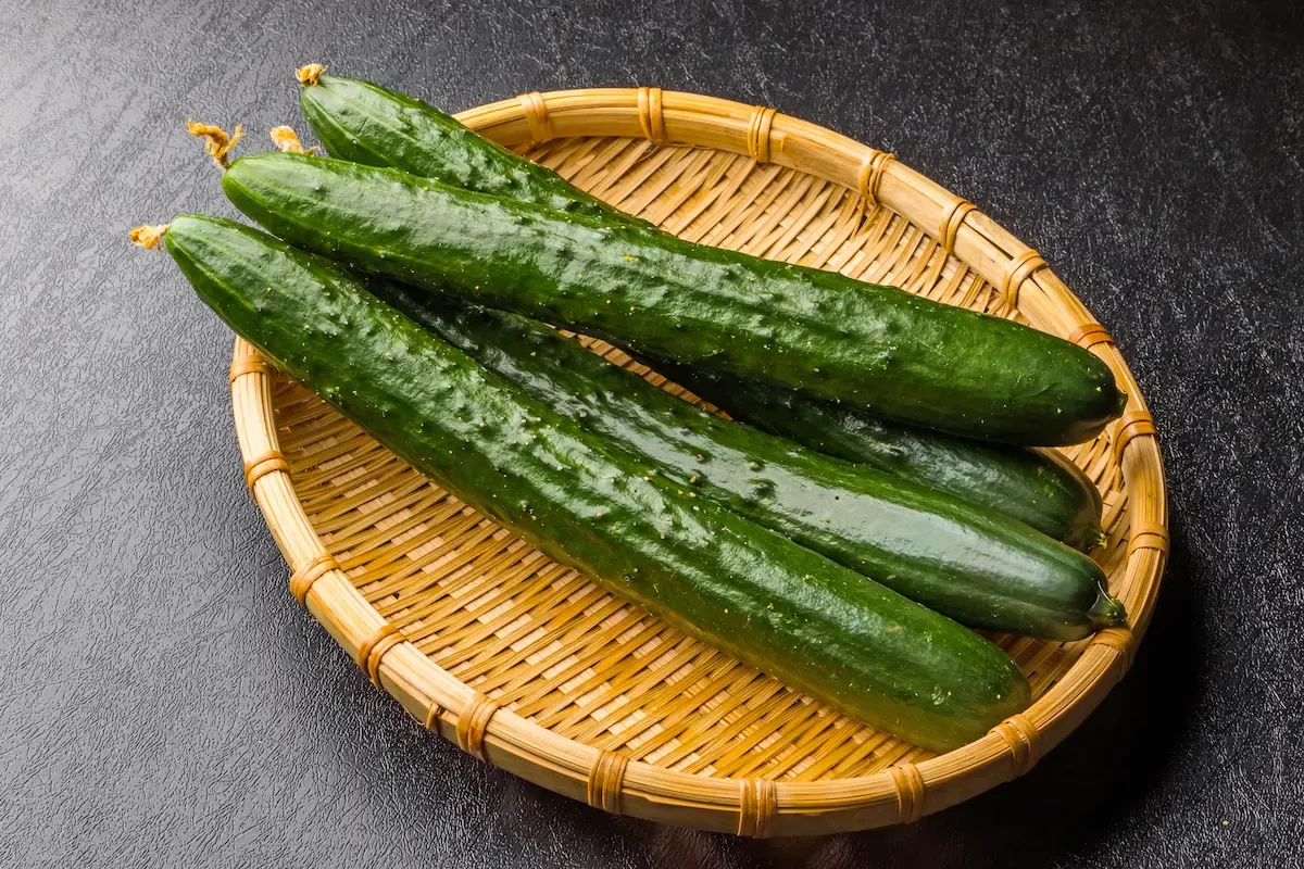 富含水分的夏季黃瓜