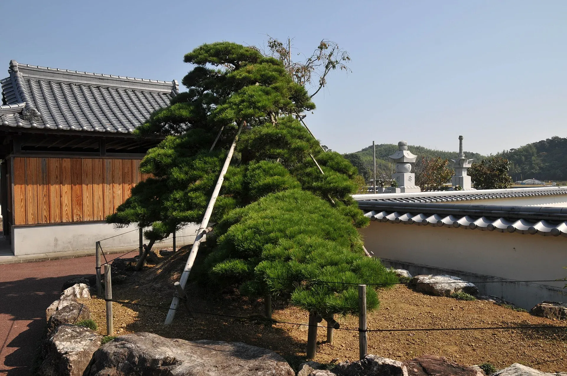 第34番 本尾山 朱雀院 種間寺 境内