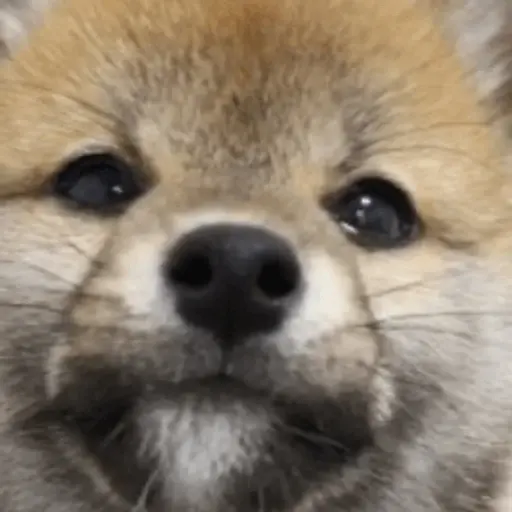 プロフィール写真