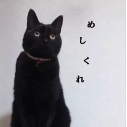プロフィール写真