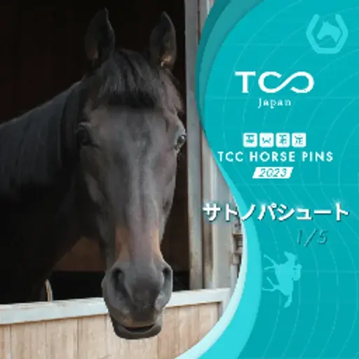 プロフィール写真