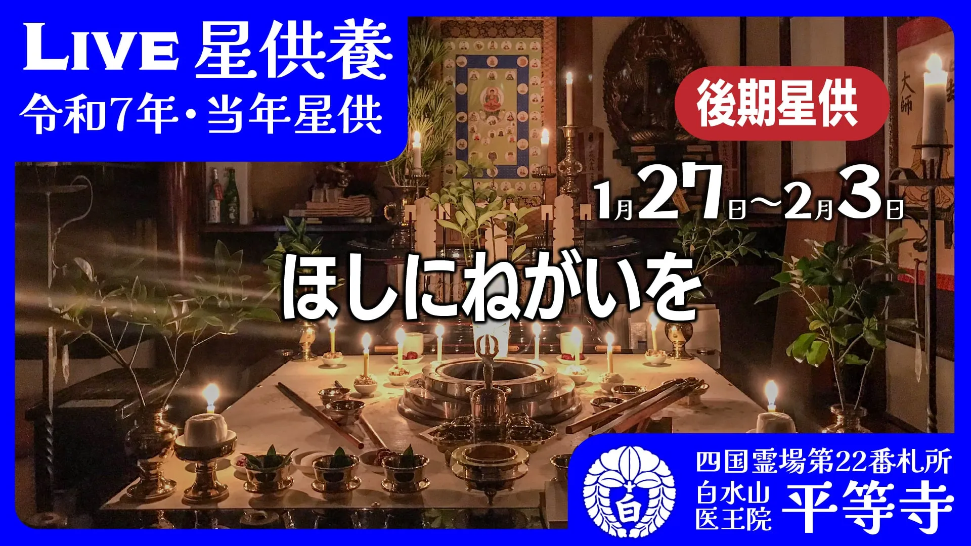 当年星供#8