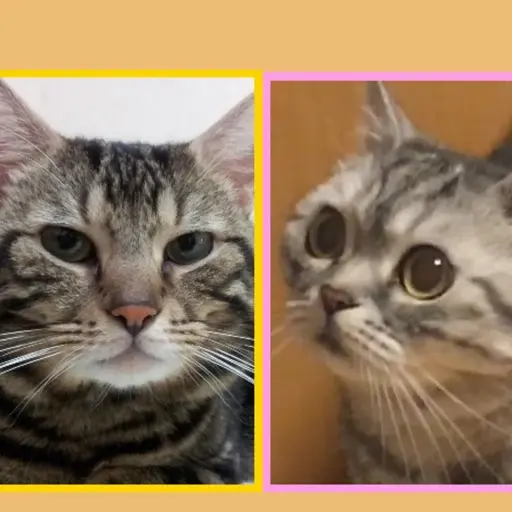 プロフィール写真