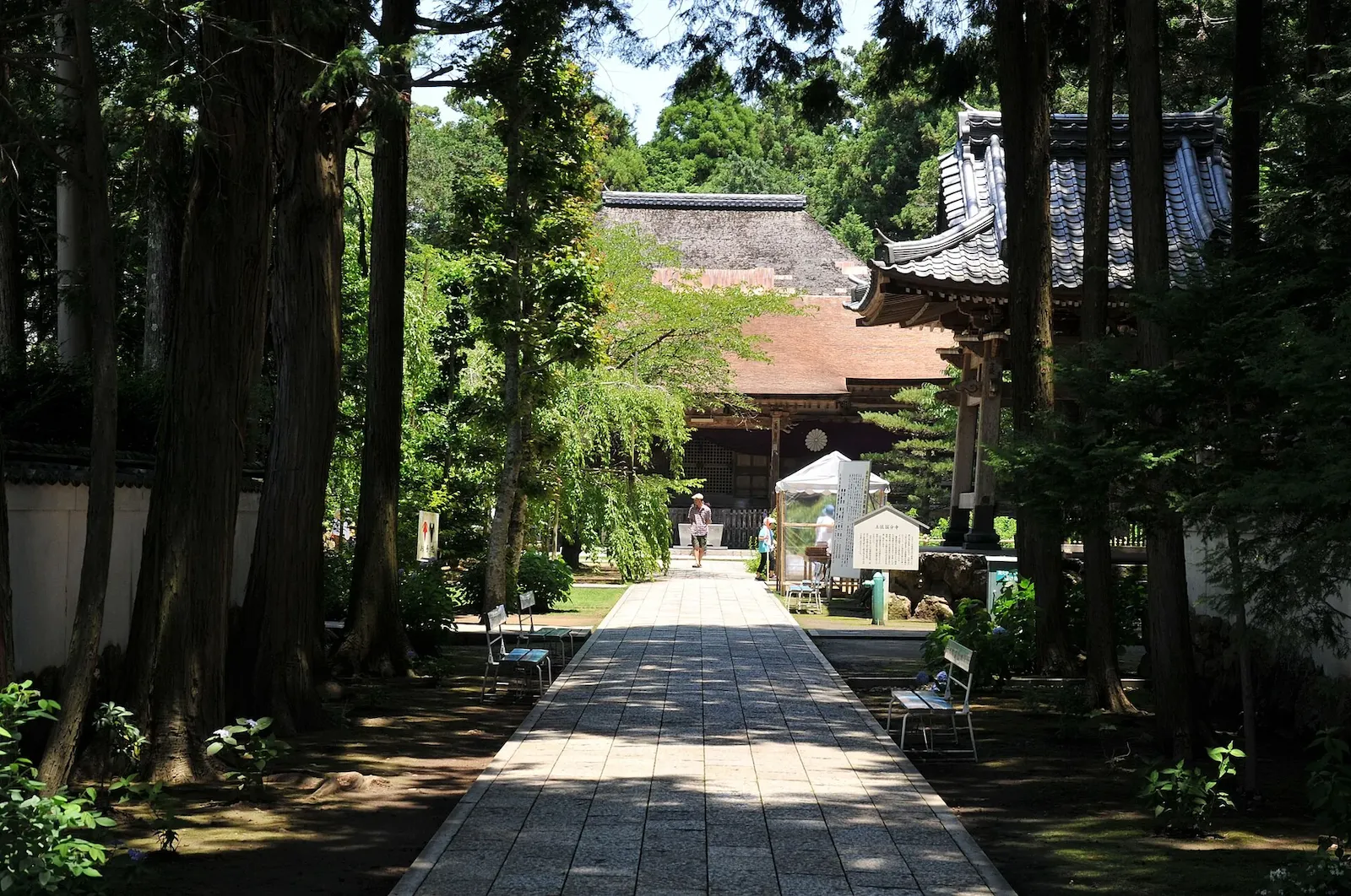 第29番 摩尼山 宝蔵院 国分寺 境内・全景