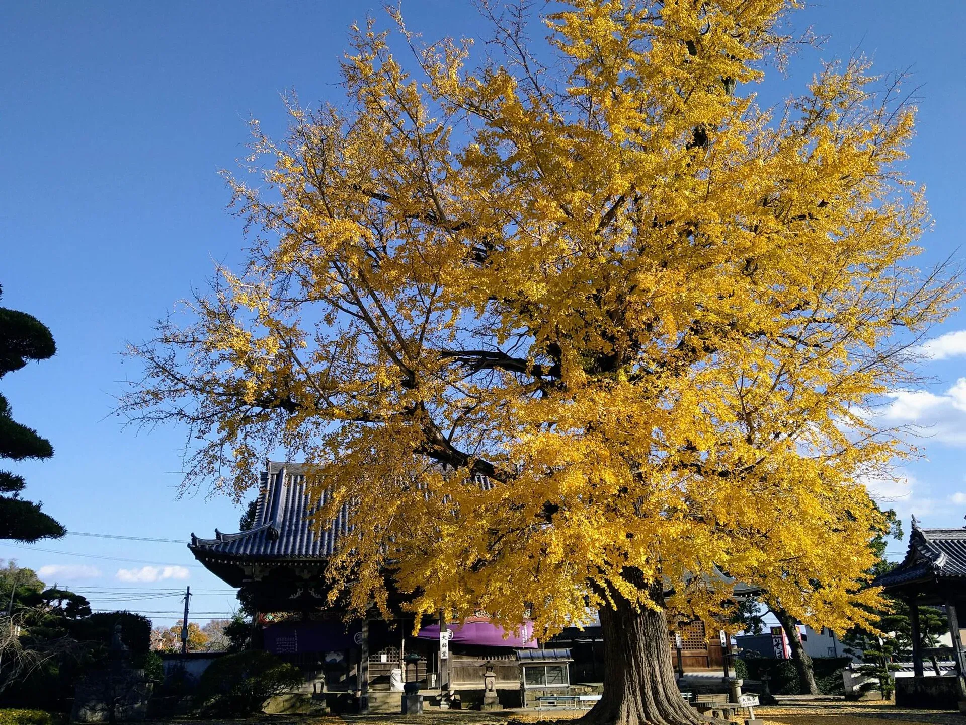 第5番 無尽山 荘厳院 地蔵寺 境内