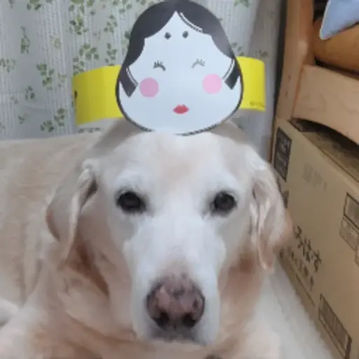 プロフィール写真