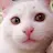 ふかみ