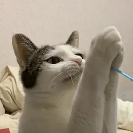 プロフィール写真