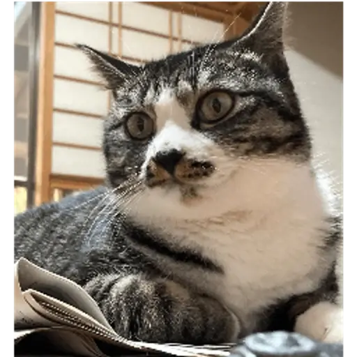 プロフィール写真