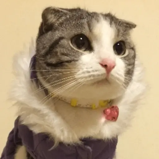 個人照片