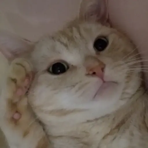 プロフィール写真