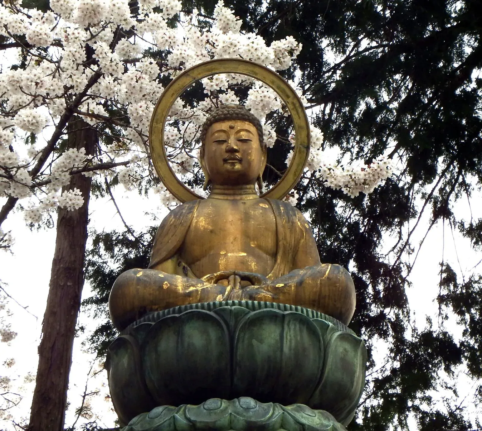 第7番 光明山 蓮華院 十楽寺 境内