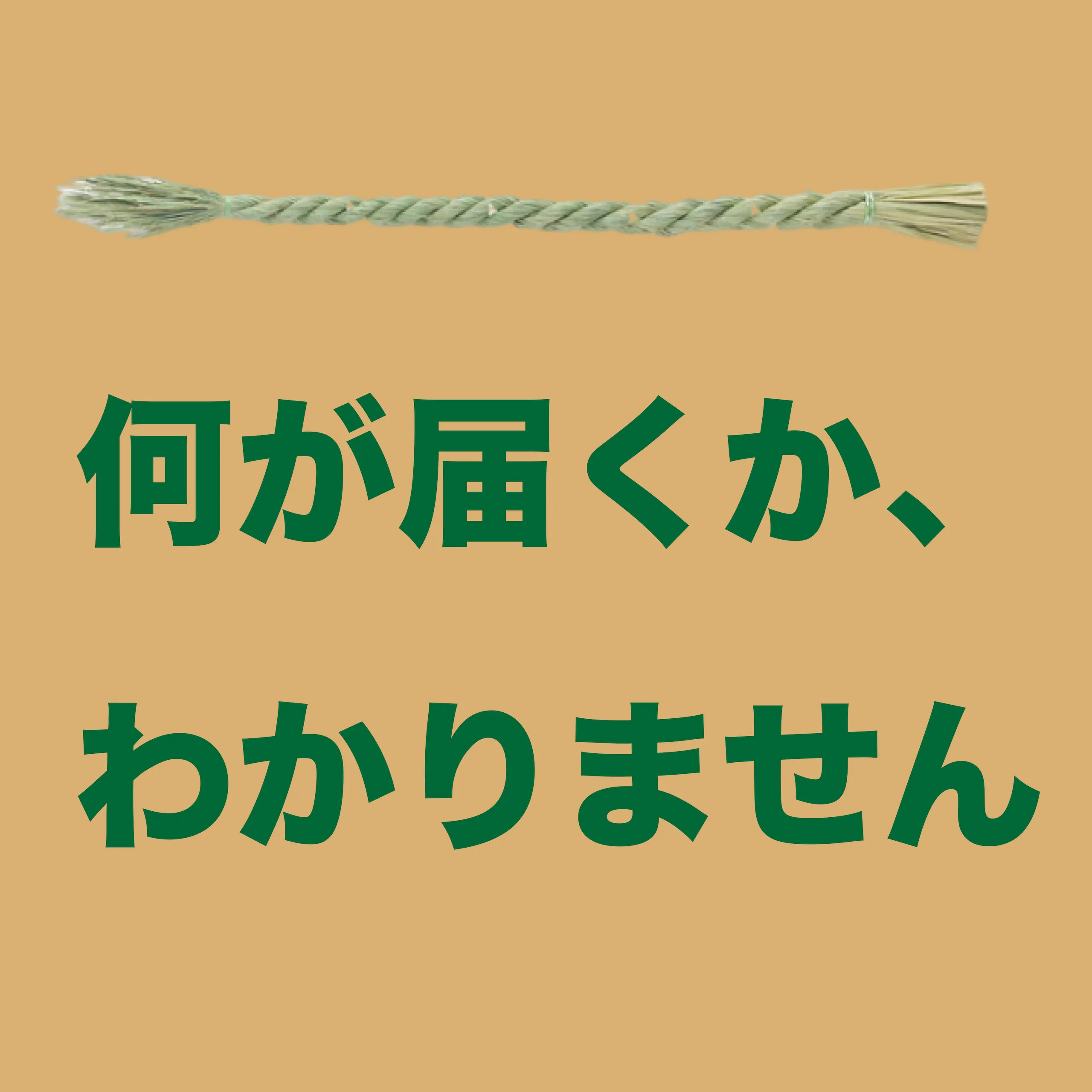 とにかく太いしめ縄（住職謹製）