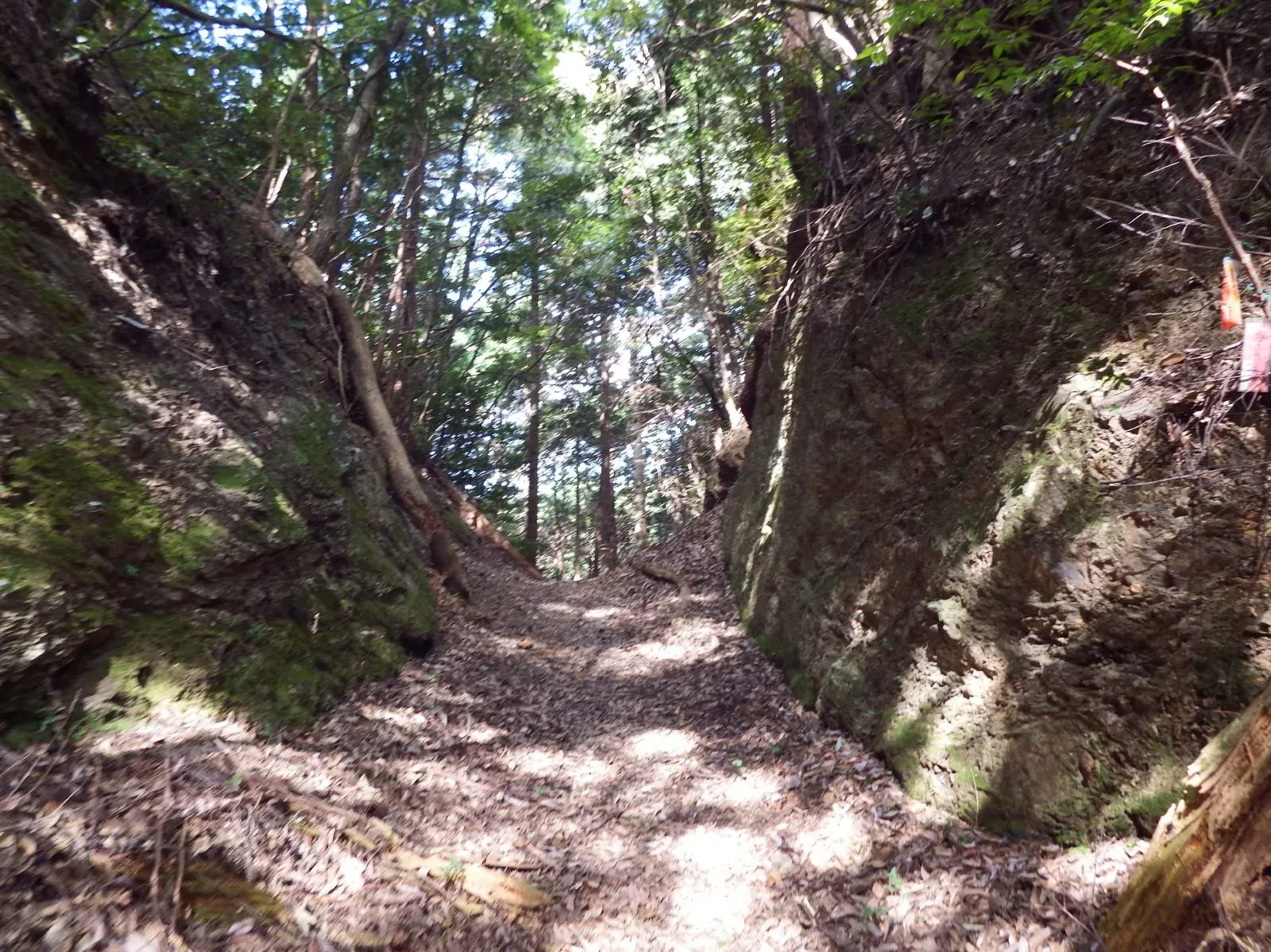 第43番 源光山 円手院 明石寺 境内