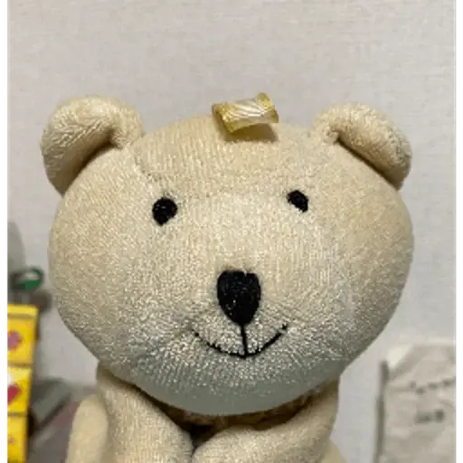 プロフィール写真