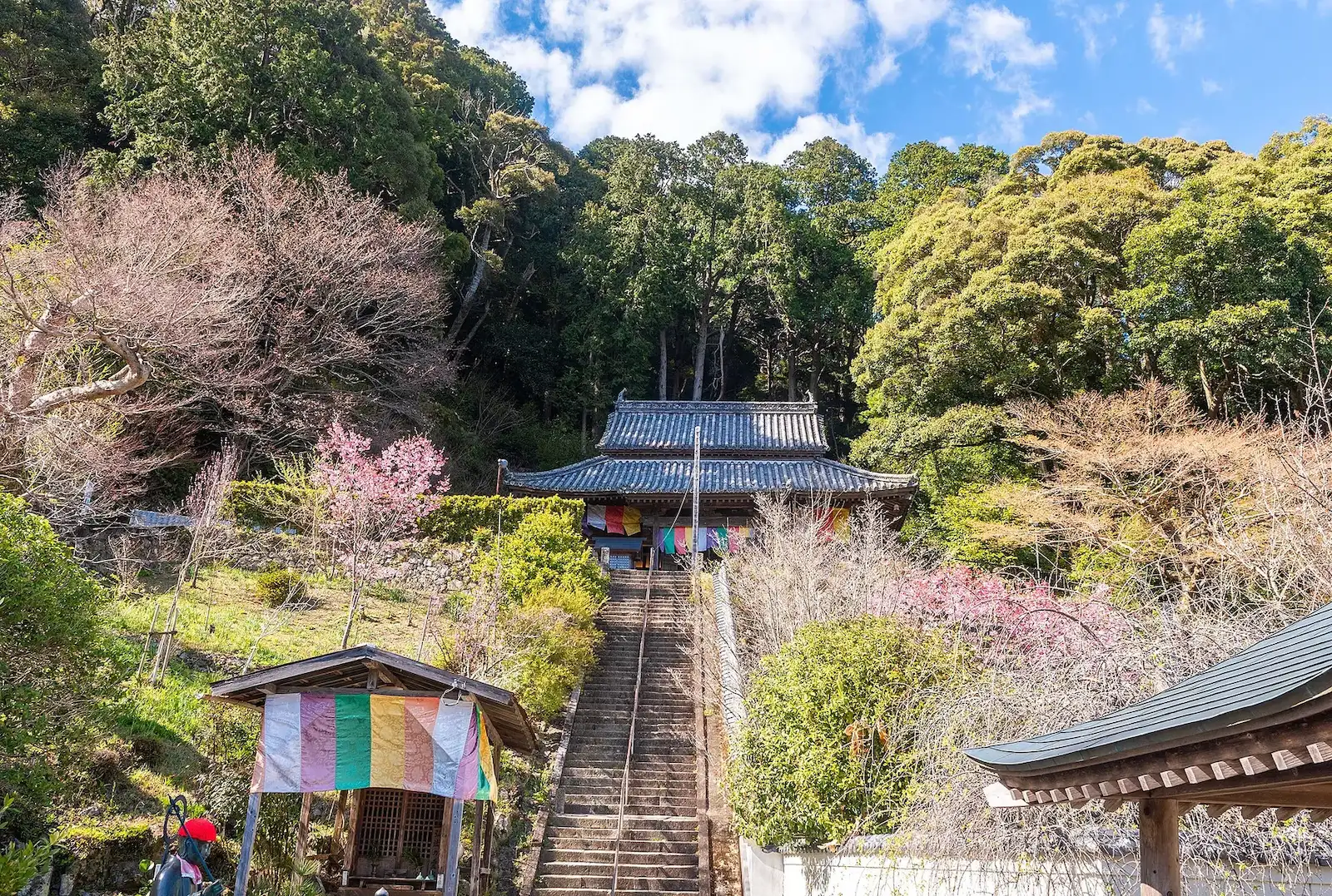 第22番 白水山 医王院 平等寺 本堂