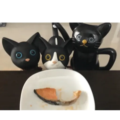 プロフィール写真