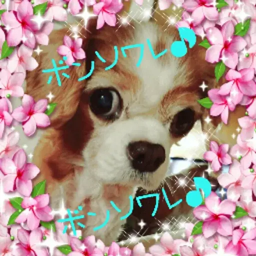プロフィール写真