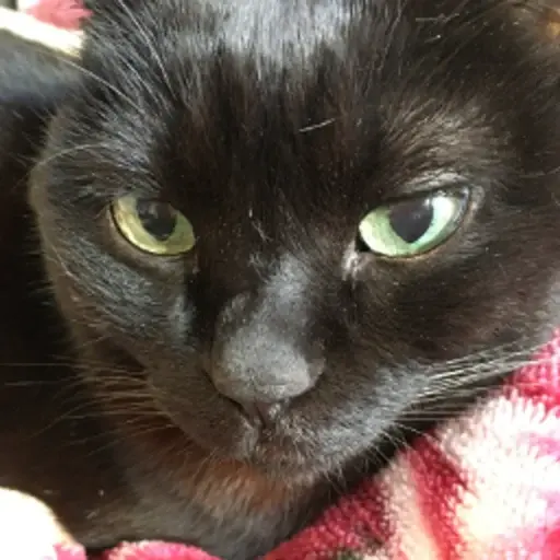 プロフィール写真