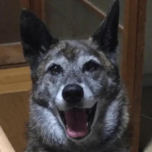 プロフィール写真