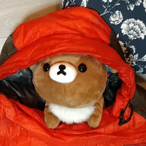 プロフィール写真