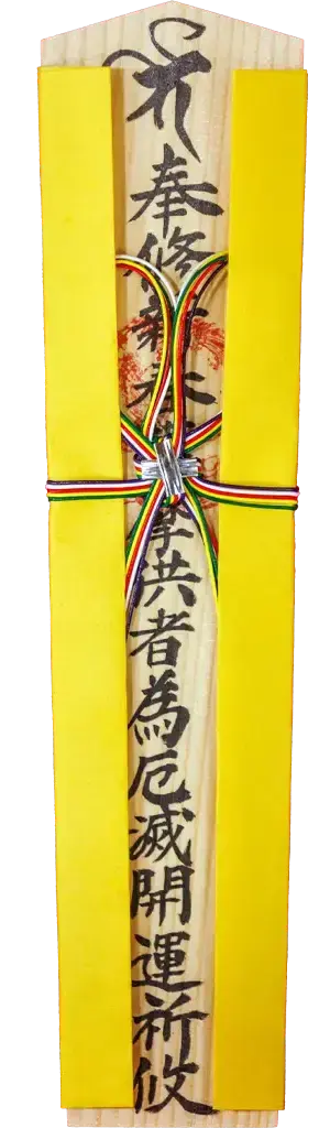 特别木札 蒲公英