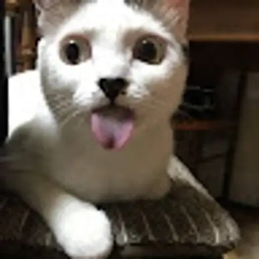 プロフィール写真