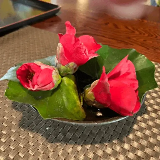 头像照片
