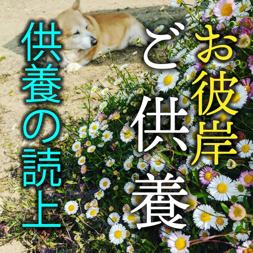 彼岸供養 読み上げ
